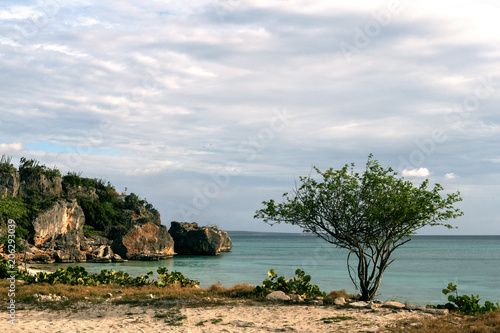 Caribbean, beach, rocks, sea