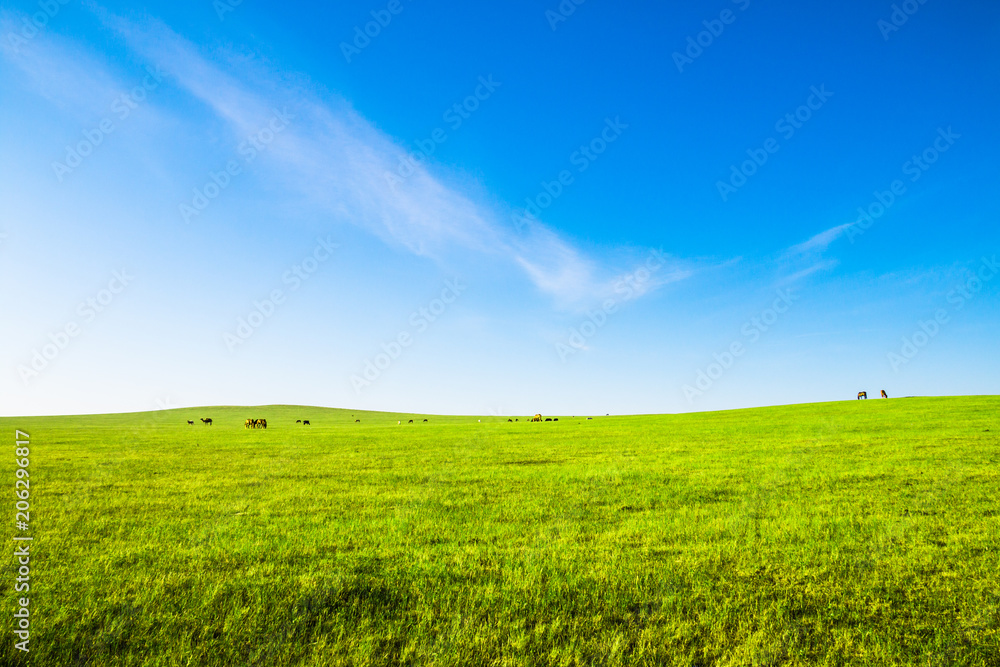 China Inner Mongolia Hulunbeier Prairie Landscape China Inner Mongolia Hulunbeier Prairie Landscape