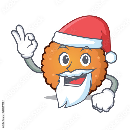 Santa cookies mascot cartoon style photo