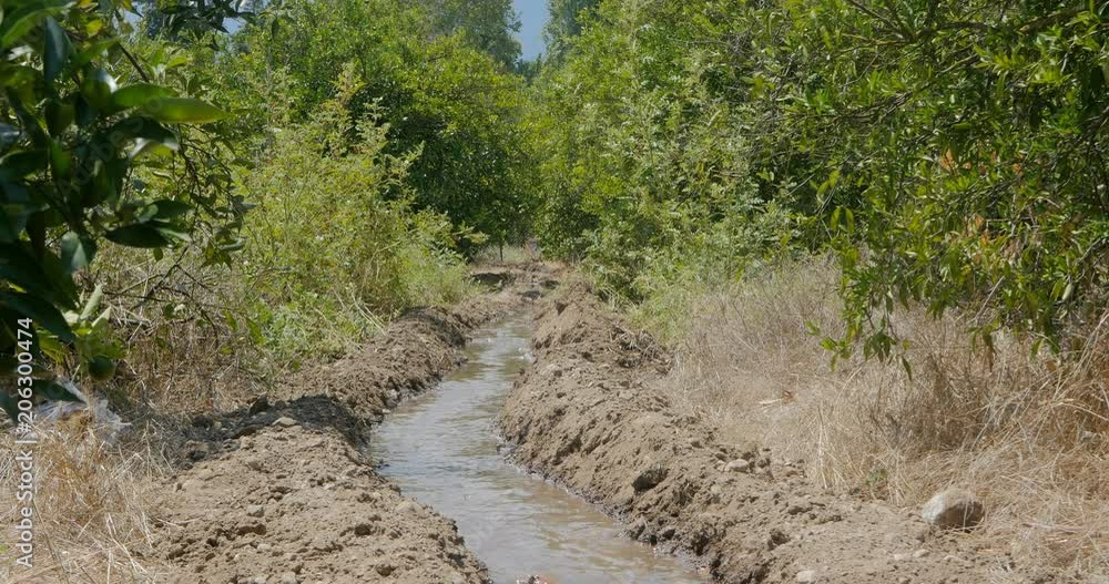 Irrigation canal in orange garden Irrigation canal in orange garden