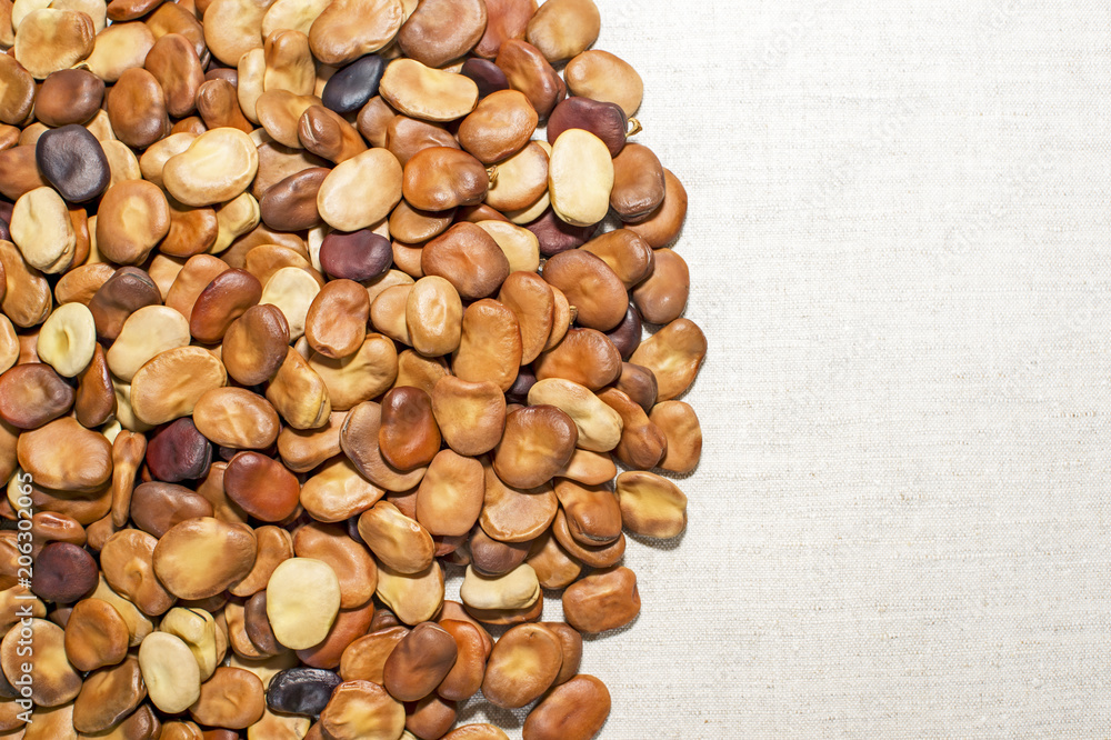 Bean seeds are laid out on a light linen fabric. Background. The place for drawing text. Bean seeds are laid out on a light linen fabric. Background. The place for drawing text.