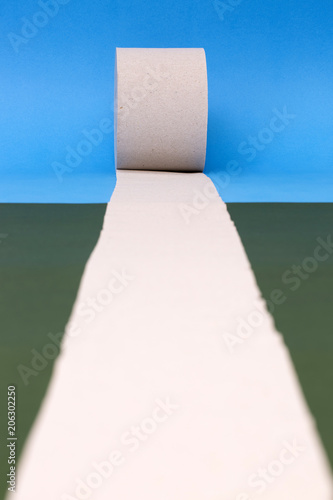 Tableau sur toile Roll of toilet paper on a colored background