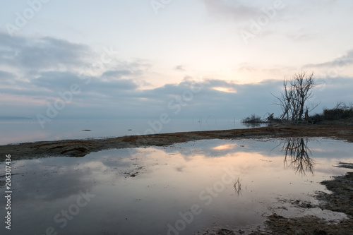 A lake shore at dawn  with beautiful tree and sky reflections on