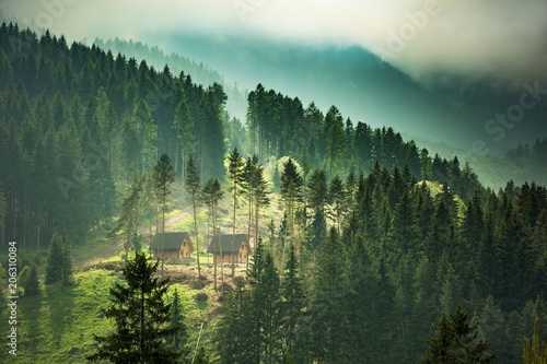 Europe, country Slovakia, locality of Liptov. Beautiful mountain forests over the village of Liptovsky Jan. Recreational wooden cottages built in mountain forests. photo