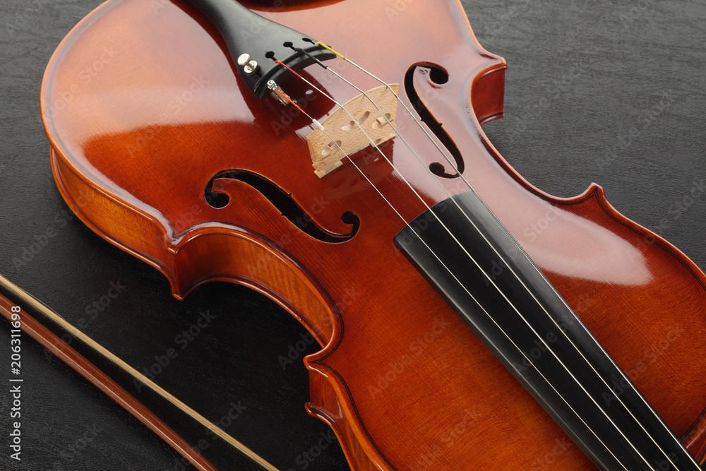 Fototapeta premium ヴァイオリン