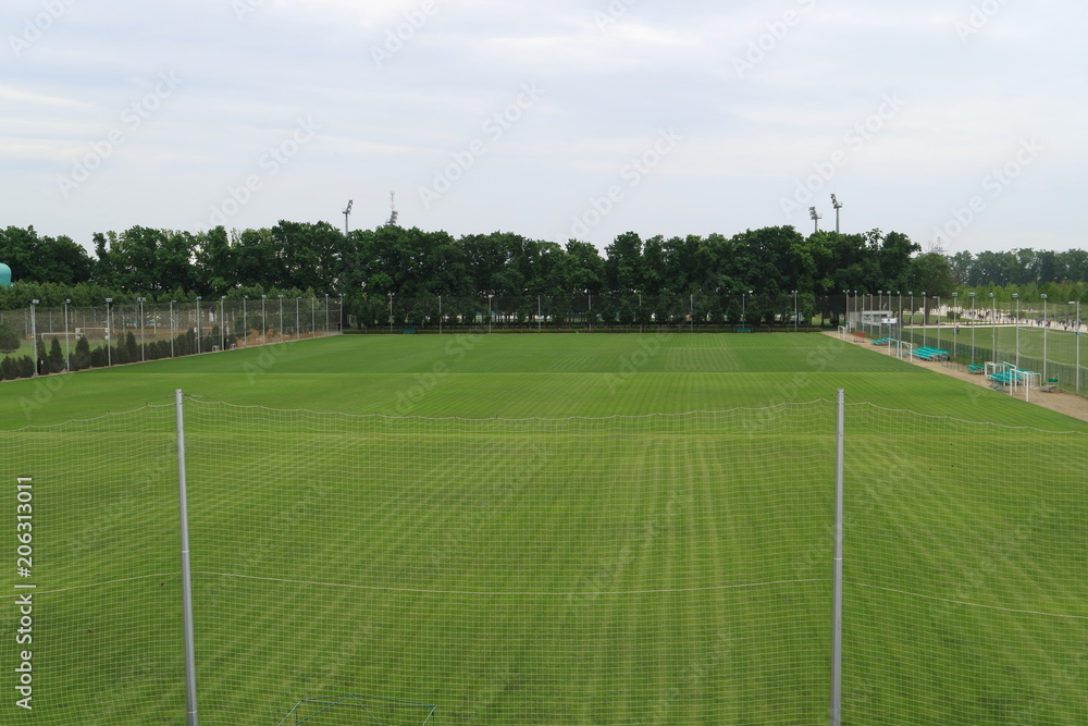 Fototapeta premium Football field for training.