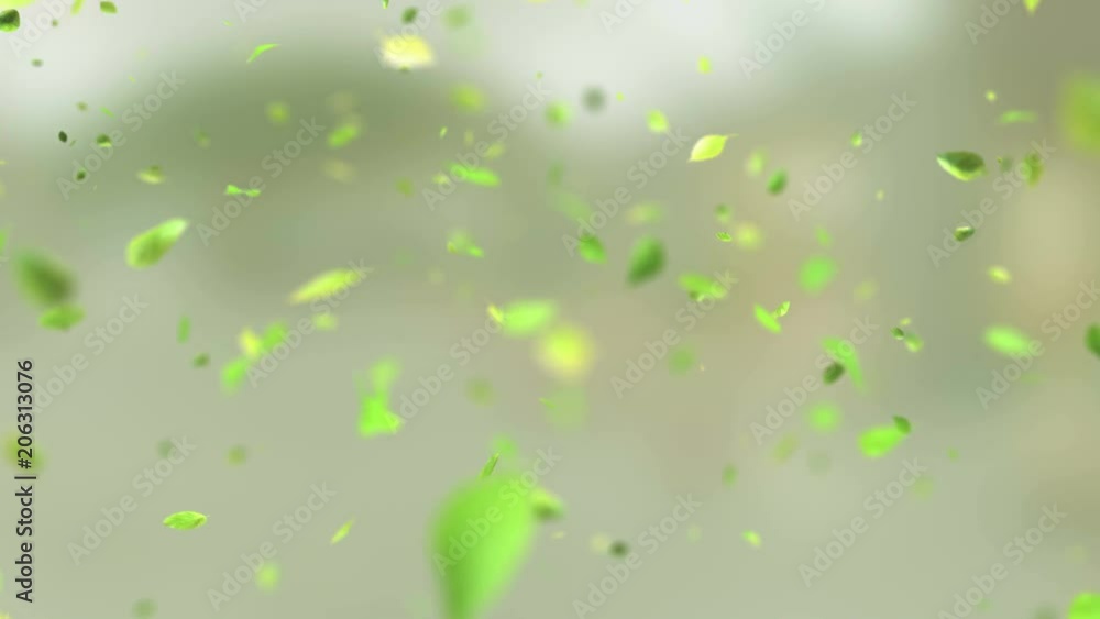 Exploding green tea leafs in 4K Exploding green tea leafs in 4K