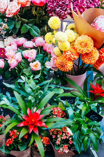 Wallpaper Mural Beautiful bouquets at flower market Torontodigital.ca