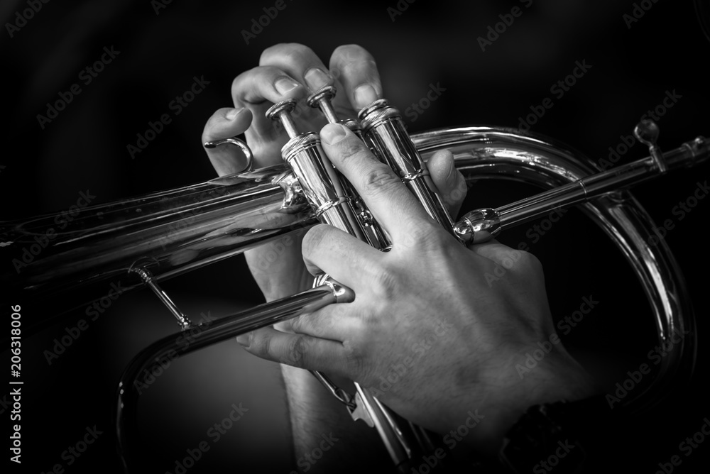 Obraz premium Jazz Trompeter schwarzweiß