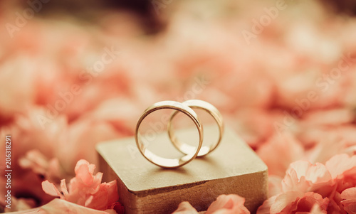 Fotografie Rings