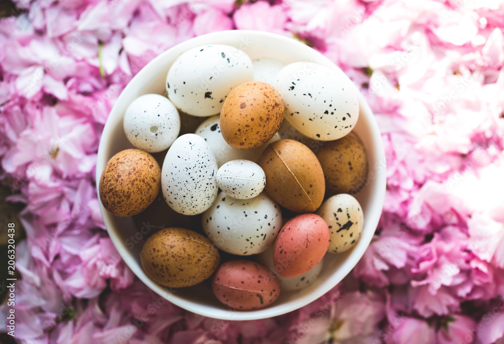 Eggs Eggs