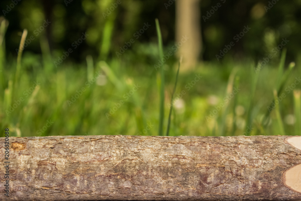 wooden stick frame and nature unfocused green background with empty space for copy or text wooden stick frame and nature unfocused green background with empty space for copy or text
