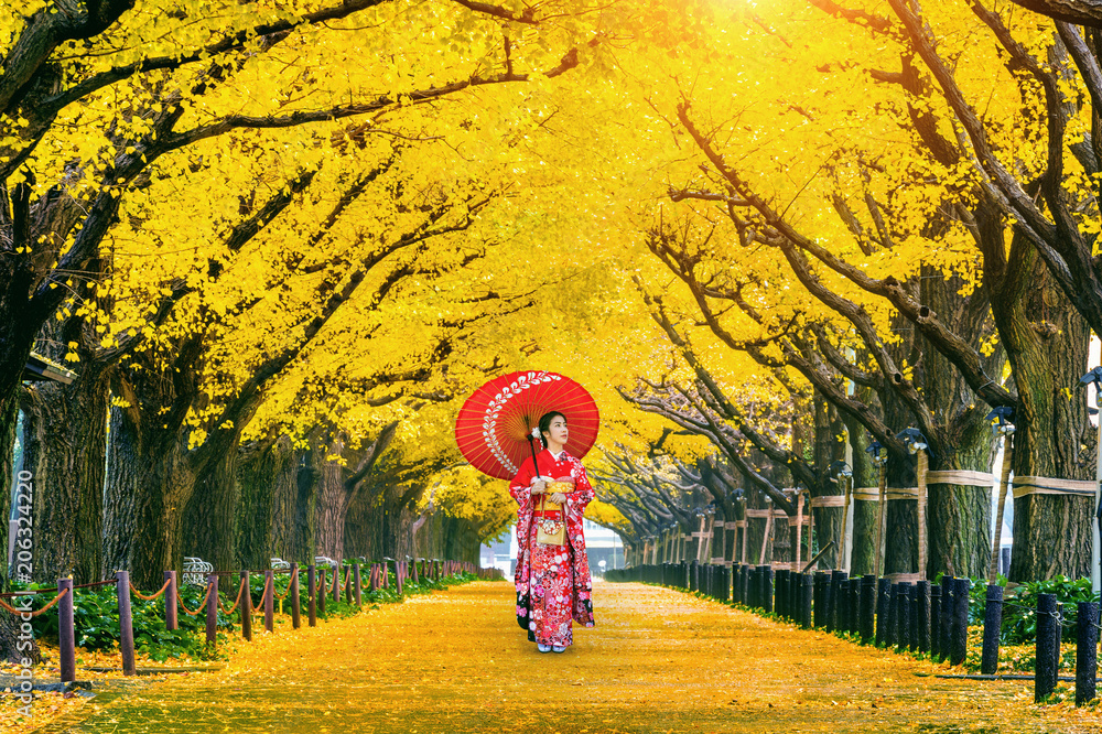 Fototapeta Piękna dziewczyna jest ubranym japońskiego tradycyjnego kimono przy rzędem żółty ginkgo drzewo w jesieni. Jesień park w Tokio, Japonia.