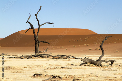 Dead Vlei in Sossusvlei in Namib Naukluft National Park in Namibia