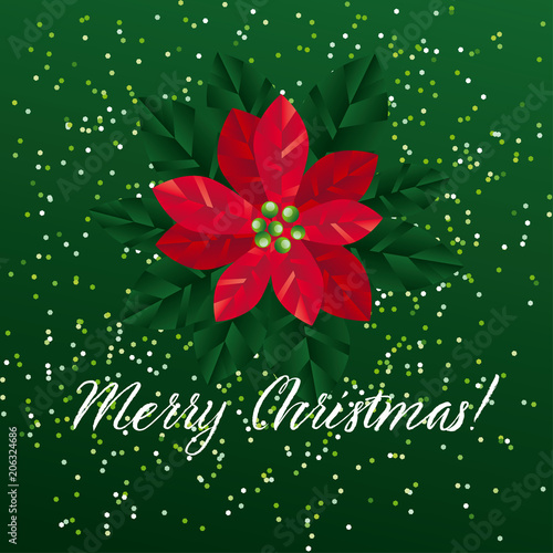 Red xmas poinsettia gradien...