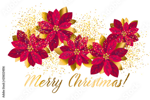 Xmas luxury gold poinsettia...