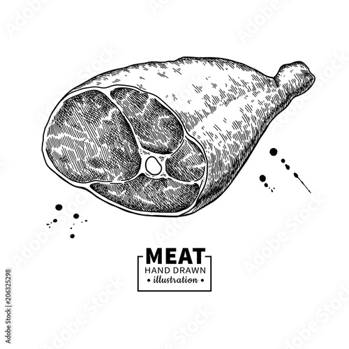 Parma ham vector drawing. Hand drawn hamon meat illustration. Italian prosciutto