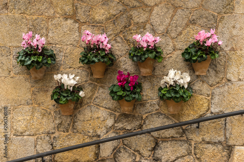 Mediterranes Flair, Mauer und Blumen