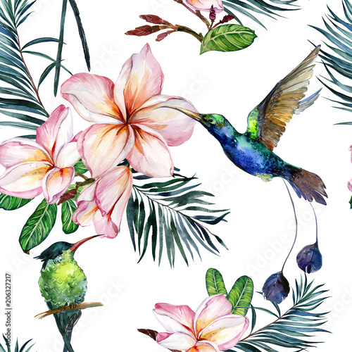 Beautiful colorful colibri and pink plumeria flowers on white background. Exotic tropical seamless pattern. Watecolor painting. Hand painted illustration.