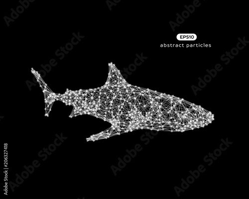 Vector abstract illustration of shark.