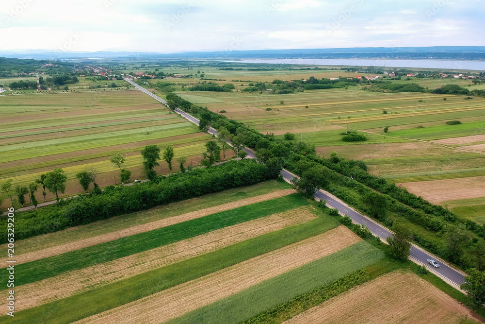 Aerial view over the road with trees on the both sides in the middle of the field and cars driving Aerial view over the road with trees on the both sides in the middle of the field and cars driving