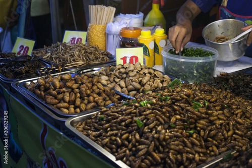 Thai food fried worms and insects, night street market in Phuket, Thailand © dmf87