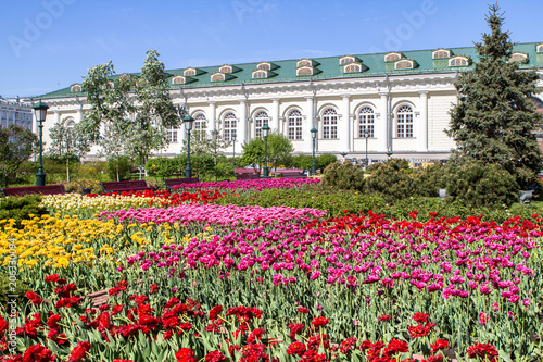 Alexander Garden in Moscow on Spring, Russia