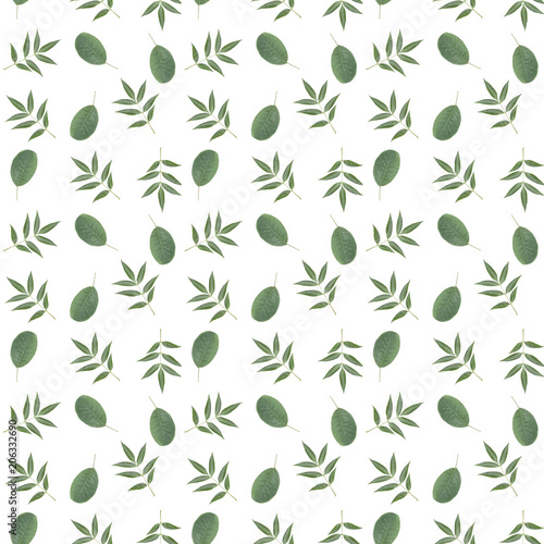 Seamless floral pattern created from natural leaves.  