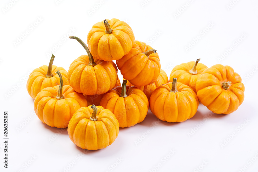 fresh pumpkins fresh pumpkins