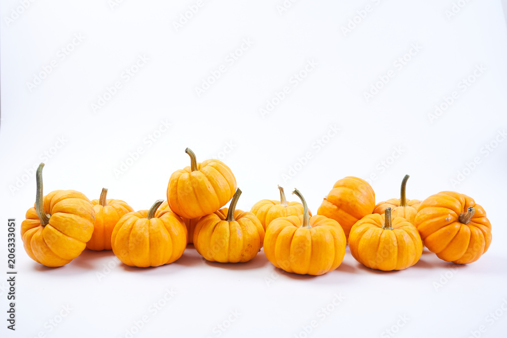 fresh pumpkins fresh pumpkins