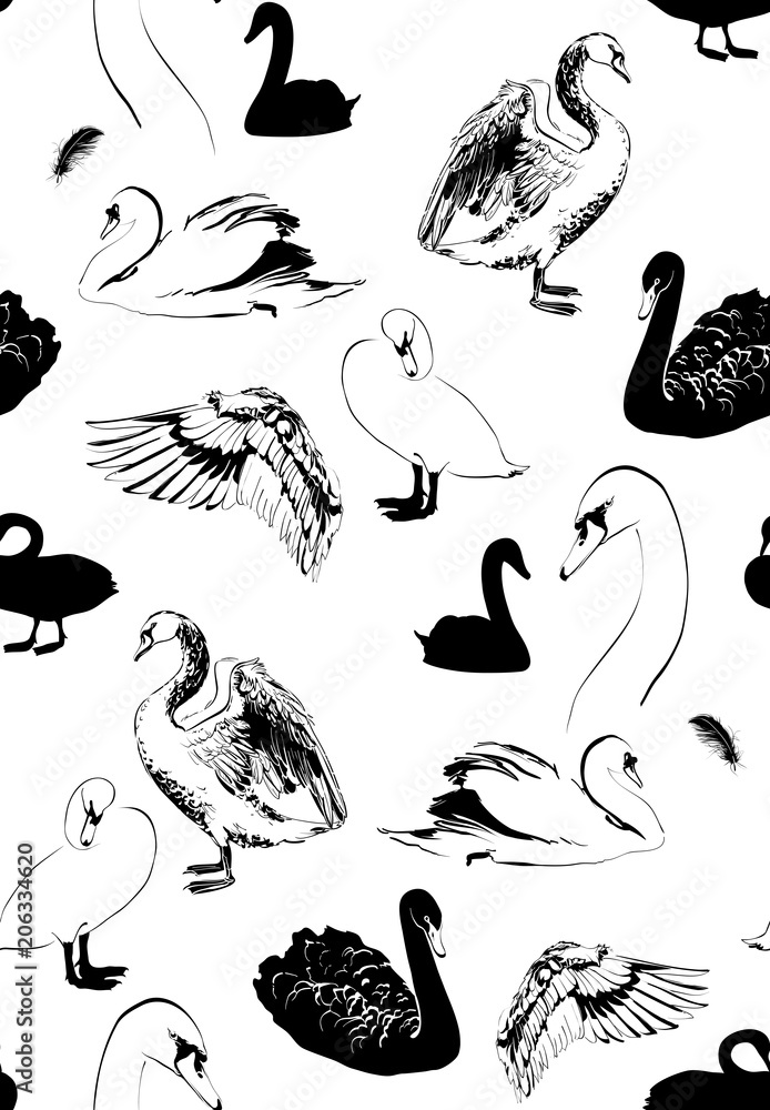 Fototapeta premium seamless pattern with various swans sketches, black and white, vector illustration
