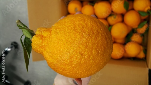 big orange