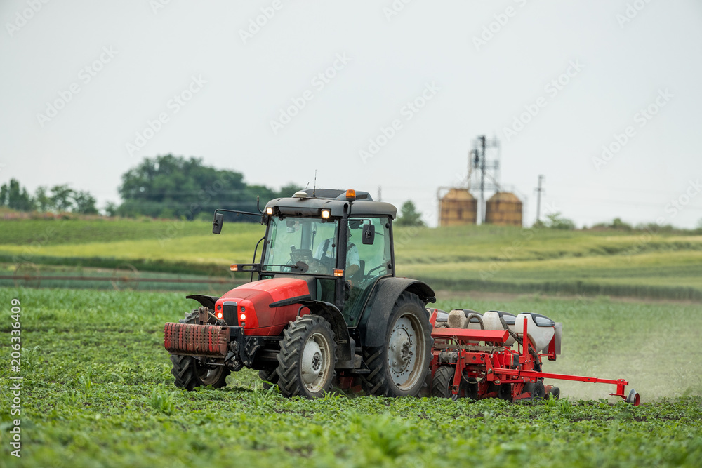 Farmer seeding, sowing crops at field. Sowing is the process of planting seeds in the ground as part of the early spring time agricultural activities. Farmer seeding, sowing crops at field. Sowing is the process of planting seeds in the ground as part of the early spring time agricultural activities.