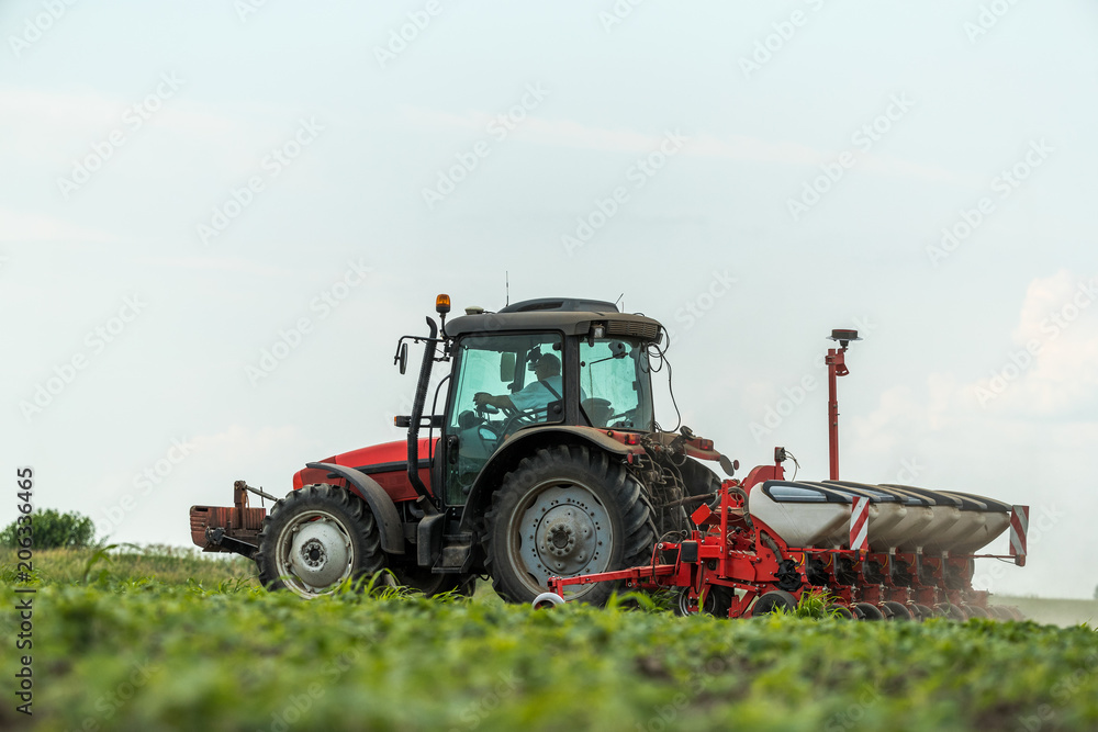 Farmer seeding, sowing crops at field. Sowing is the process of planting seeds in the ground as part of the early spring time agricultural activities. Farmer seeding, sowing crops at field. Sowing is the process of planting seeds in the ground as part of the early spring time agricultural activities.