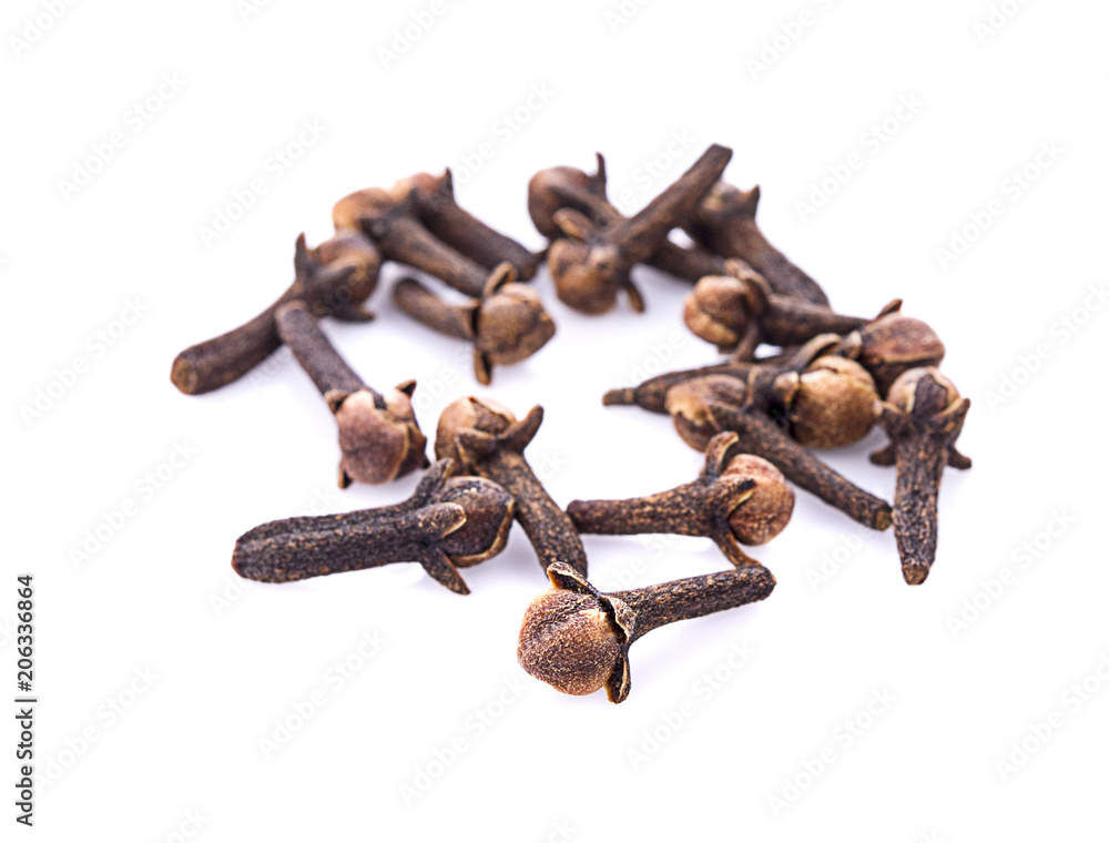 dry cloves on white background dry cloves on white background