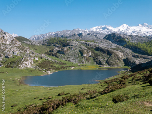 View from above to the Ercina mountain lake near Covadonga, Asturias, Spain