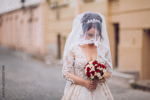 Gorgeous happy luxury stylish brunette bride under veil with tenderness the background of street. Woman posing old town steet. Wedding photosession for the bride.