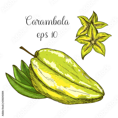 hand drawn Carambola