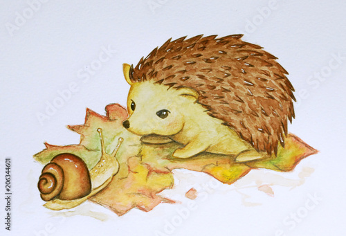 Cuadro en lienzo Igel und Schnecke