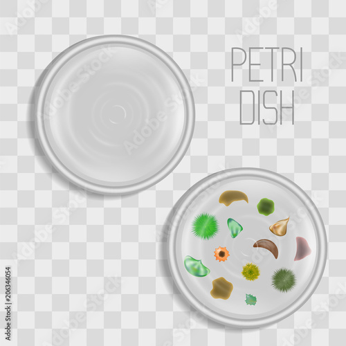 Petri dish medical equipment item isolated on transparent background. Bacterias, growing mold and other microorganismes. Scientific research concept. Laboratory test.