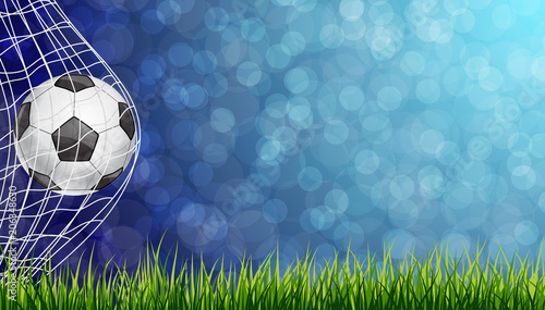 Soccer Ball in Goal