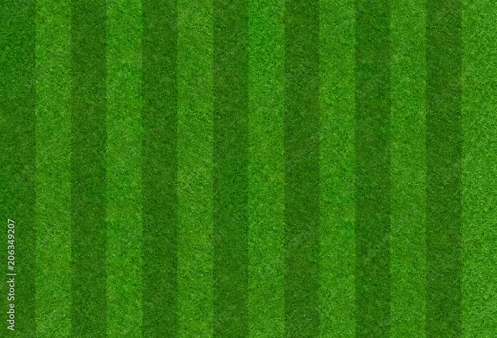 Naklejka premium Murawa piłkarska w paski