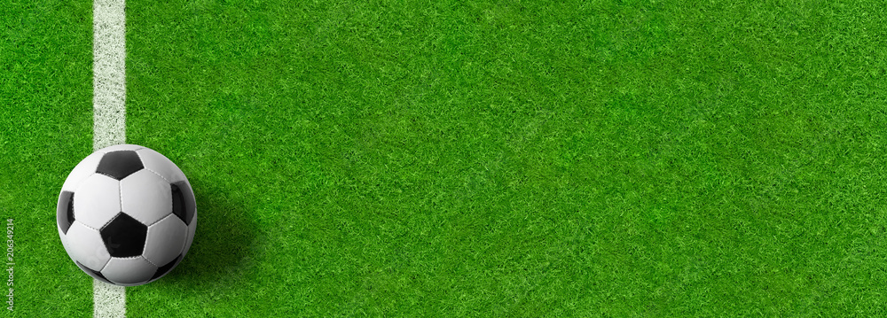 Fototapeta premium Fußball auf grünem Rasen - Panoramaformat