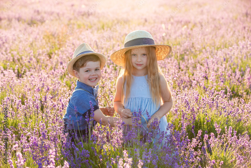 Brother and sister in lavender field Brother and sister in lavender field