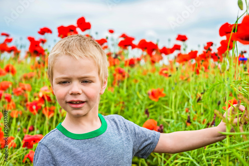 Cute boy in field with red poppies
