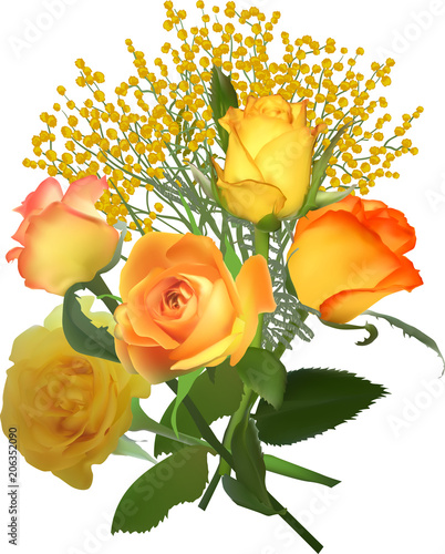bunch of yellow roses and mimisa isolated on white