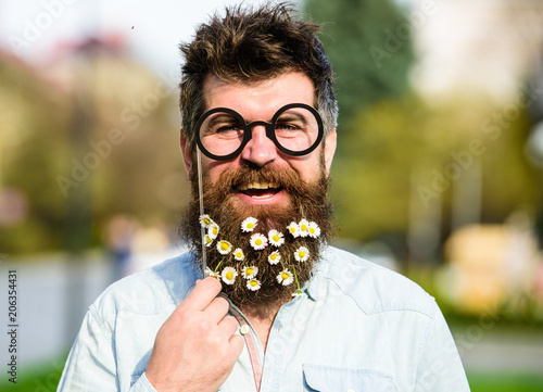 Man with long beard and mustache, defocused nature background. Guy looks nicely with daisy or chamomile flowers in beard. Springtime concept. Hipster with beard on smiling face, posing with glasses.