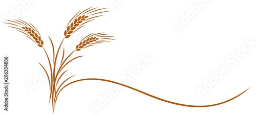 Fényképezés Wheat ear symbol.