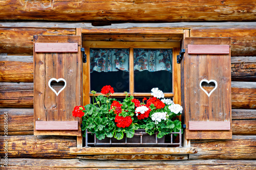 Cuadro en lienzo Typical bavarian or austrian wooden window with red geranium flowers on house in
