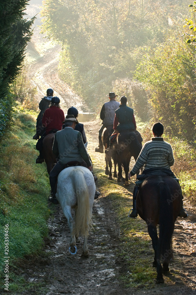 cheval chevaux cavaliers balades cheval chevaux cavaliers balades